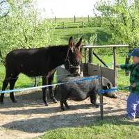 Ekocentrum Paleta