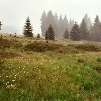 Horskokvildské slatě