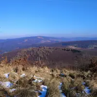 Výhľad z okraja lesa