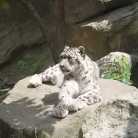 Zoo Jihlava