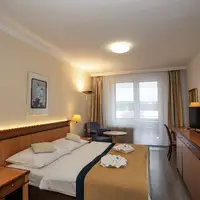 Dvoulůžkový pokoj Superior s balkonem