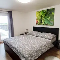 Dvoulůžkový pokoj č. 1