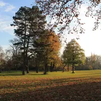 Anglický park Palárikovo