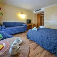 Dvoj-/trojlôžková izba Superior (35 m²)