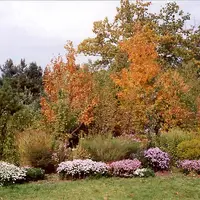 Arboretum Nový Dvůr