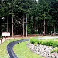 Bobová dráha Harrachov