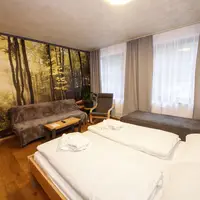 Dvojlôžková izba so sprchovacím kútom alebo vaňou a prístelkou