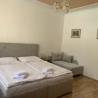 Dvoulůžkový pokoj Deluxe s manželskou postelí (24 m²)
