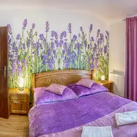 Apartmán Levandula (40 m²)