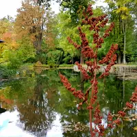 Kámoni arboretum v Szombathely