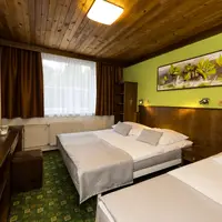 Třílůžkový (manželská postel + lůžko) (23 m²)