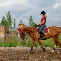 Horse Club Nitra - Lužianky