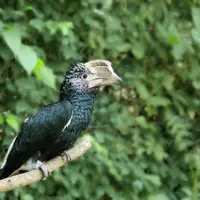 ZOO Debrecen