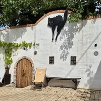 Auf den Spuren der Kellerkatze Hollabrunn