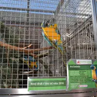 Papouščí zoo Bošovice