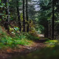Voglov chodník a najvyšší drevený kríž v Telgárte