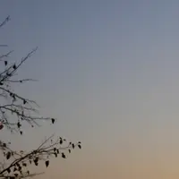 Měsíc nad Radyní od Rotundy sv. Petra a Pavla ve Starém Plzenci