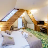 Pokoj Deluxe (21 m²)
