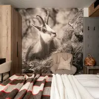Dvoulůžkový pokoj (14 m²)