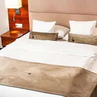 Pokoj Delux (22 m²)