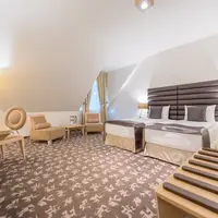 Dvojlôžková izba Superior (oddelené postele) (30 m²)