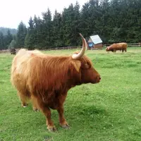 Naučná stezka Rýchory
