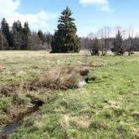 S dětmi Slavkovským lesem