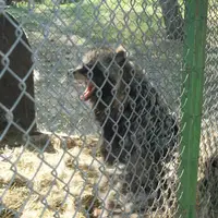 Mini zoo Osamělá hvězda