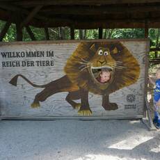 Zoo park Tierwelt Herberstein