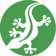 TERRABAZAR