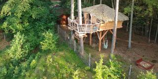 Treehouse U lesa