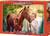 Puzzle 1000 dílků - Slečna s koněm "Krása a jemnost"