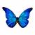 Dřevěná brož - motýl Morpho