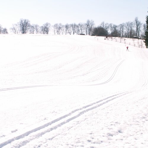 Areál běžeckého lyžování Martina Koukala