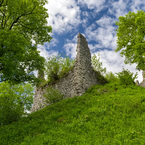 Hrad Zniev