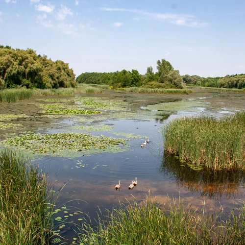 Malý Balaton, Zalakaros