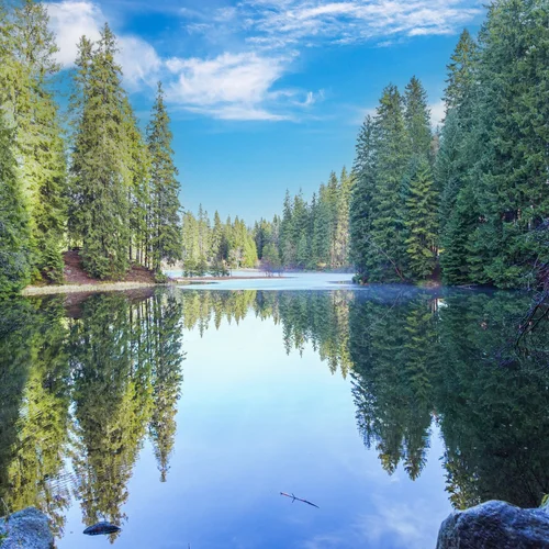 Vrbické pleso