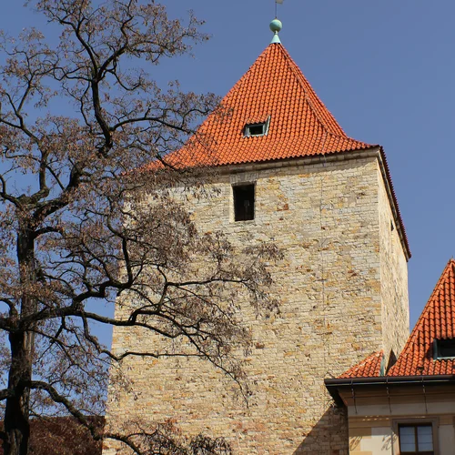 Daliborka