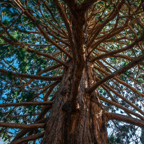 Botanická zahrada v Banské Štiavnici