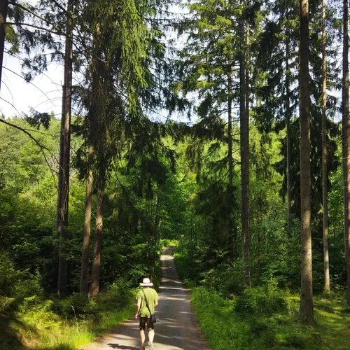 Metternichova trasa