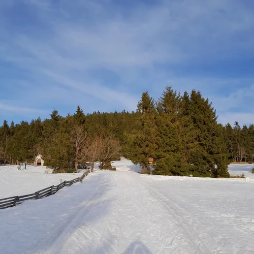 Božídarský Špičák