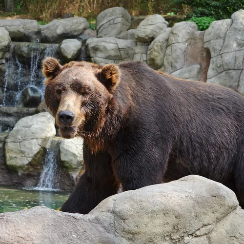 Zoo Brno