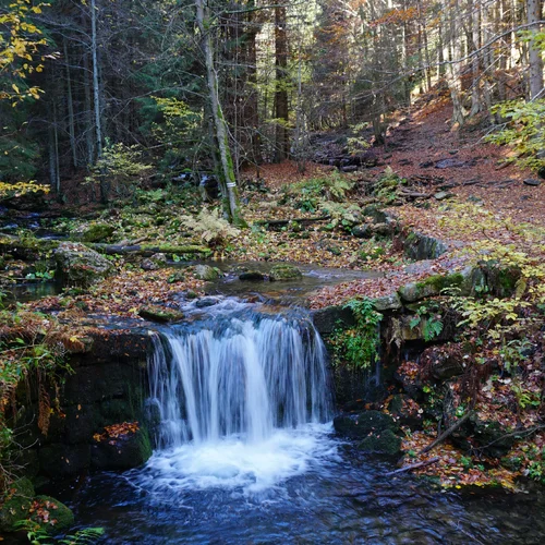 Naučná stezka Bílá Opava