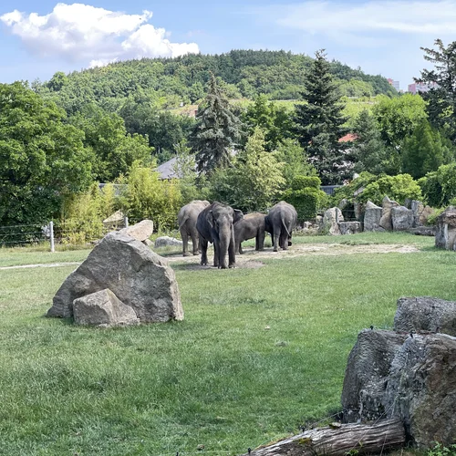 Zoo Praha