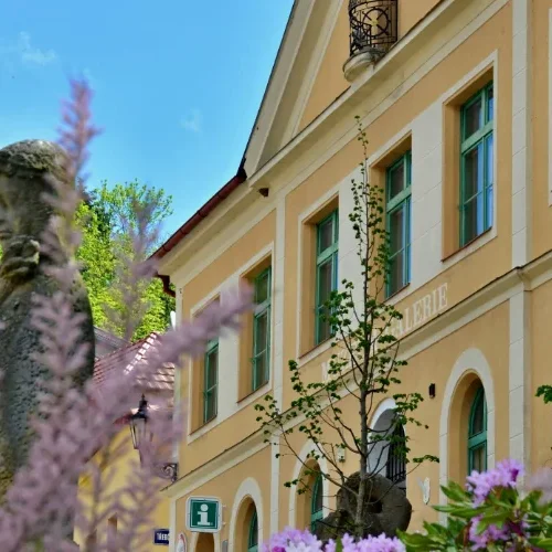 Městské muzeum a galerie Nepomuk