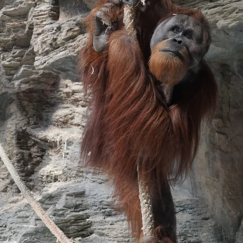 Zoo Bratislava