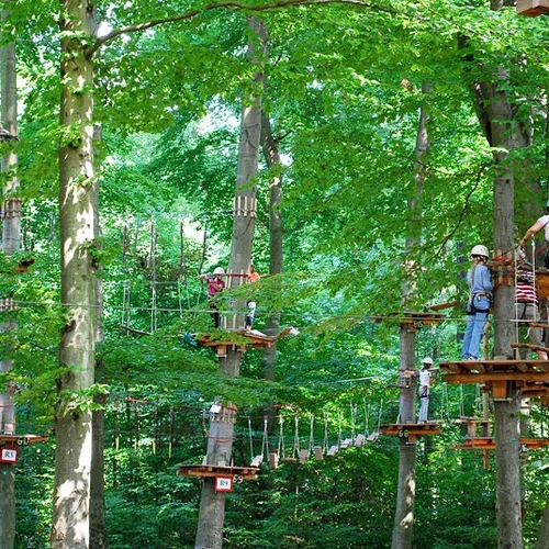 Krynicki Park Linowy - Lanový park Krynica