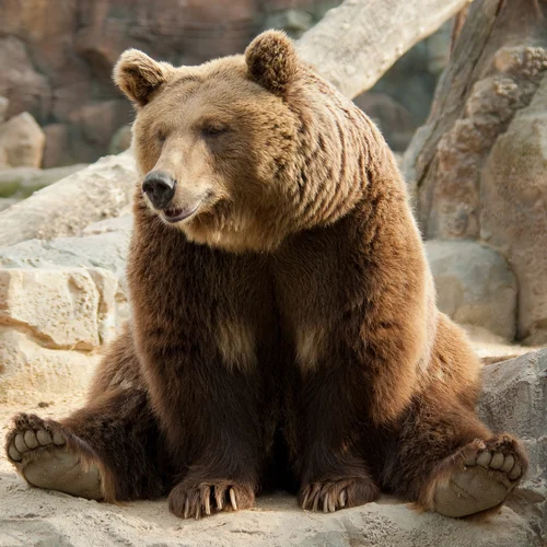 Zoologická záhrada Košice