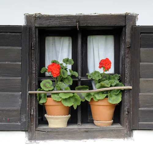 Múzeum dediny Hajdúszoboszló