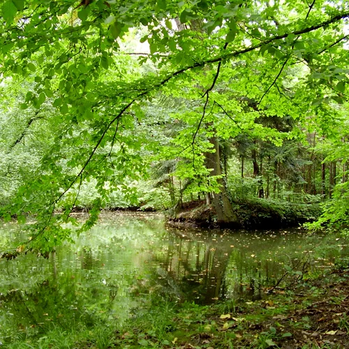 Arborétum, Sárvár